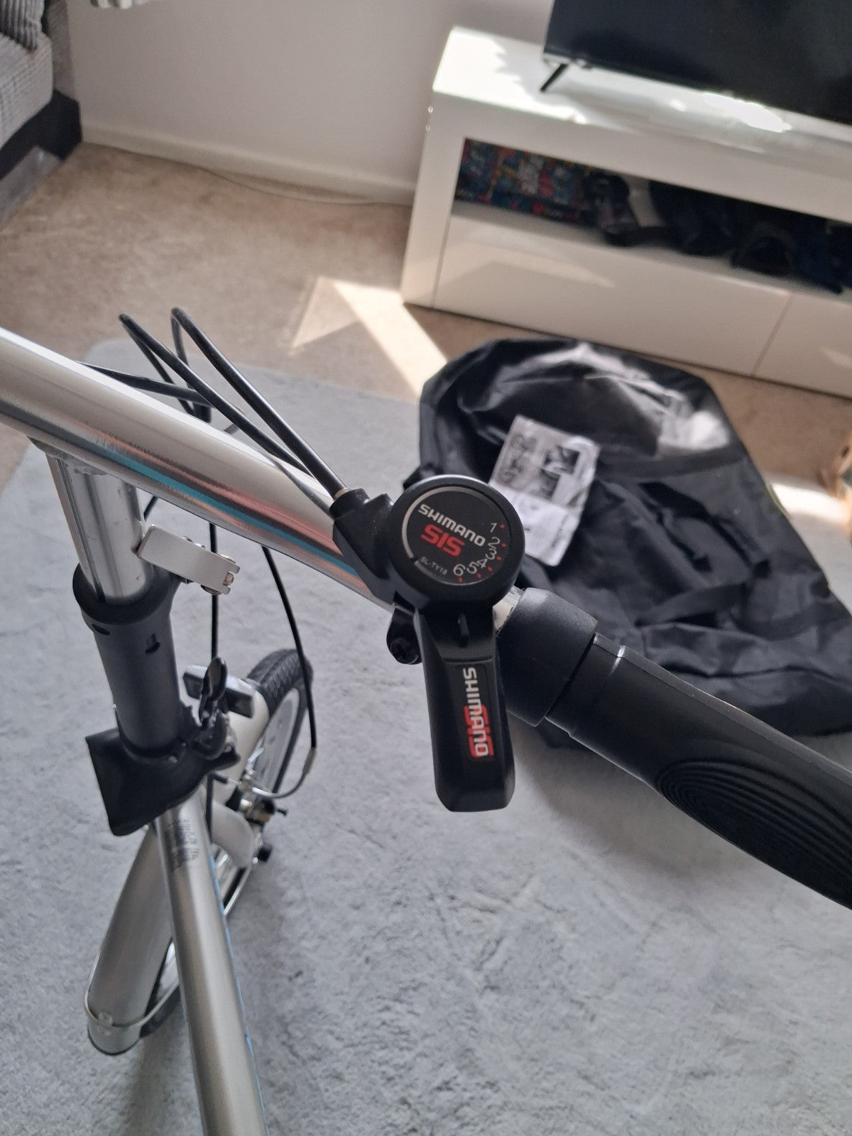 Proteam Fold Up Bike