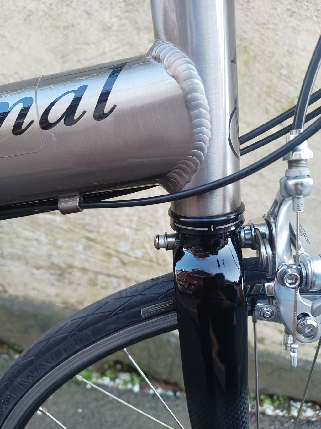 Airnimal Chameleon folding bike Shimano Ultegra