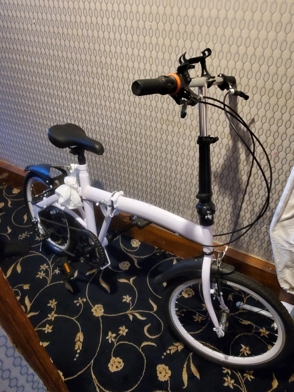 Foladable Bike
