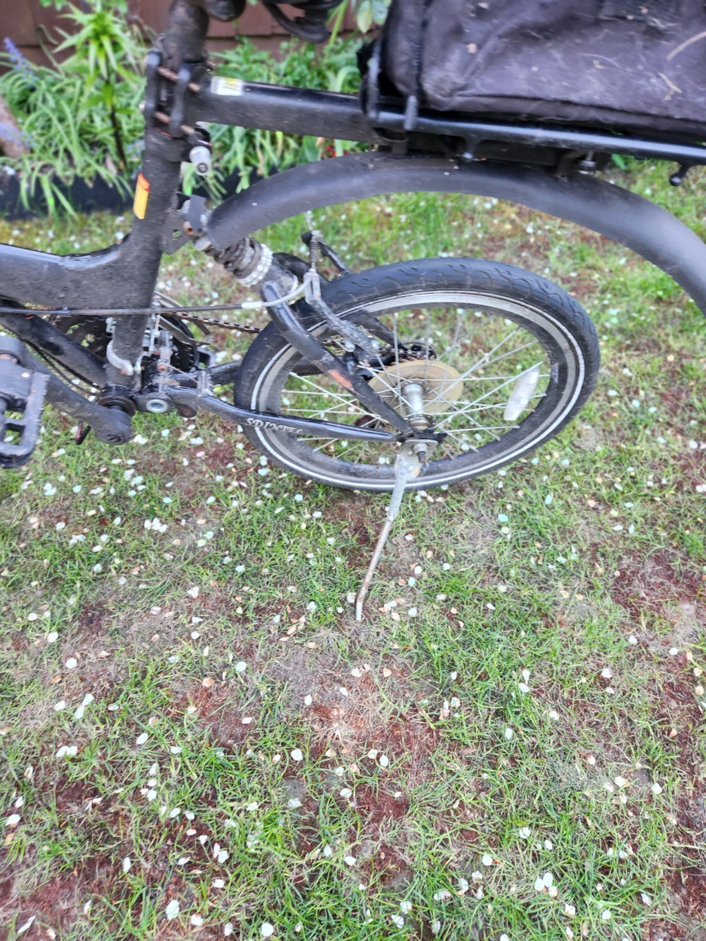 Folding Bike