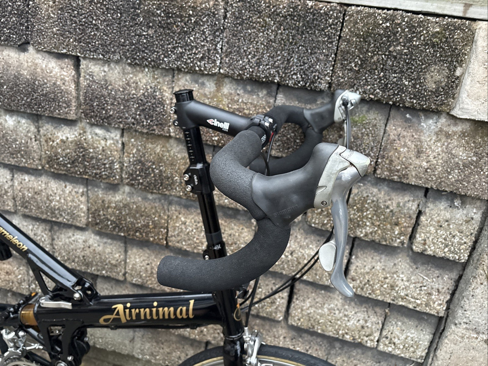 Airnimal Chameleon Handbuilt Folding Road Bike 27 Spd Ultegra Dura Ace 24” Wheel