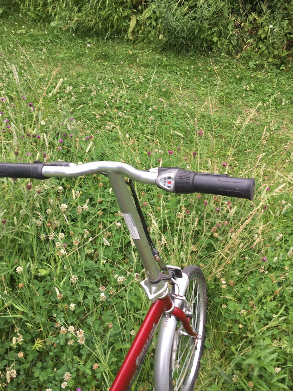 Phillips Parkway Folding Bike 3 Speed 20 Inch Wheels Good Condition