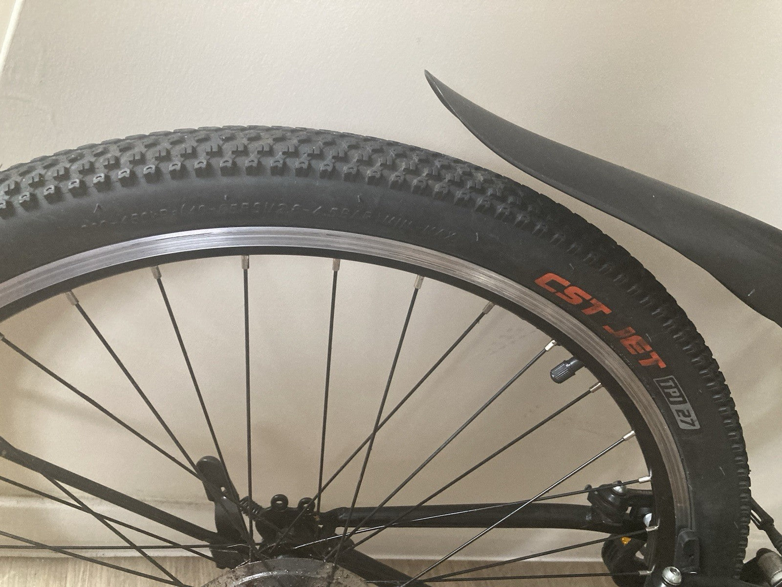 Ecosmo Folding Bicycle.