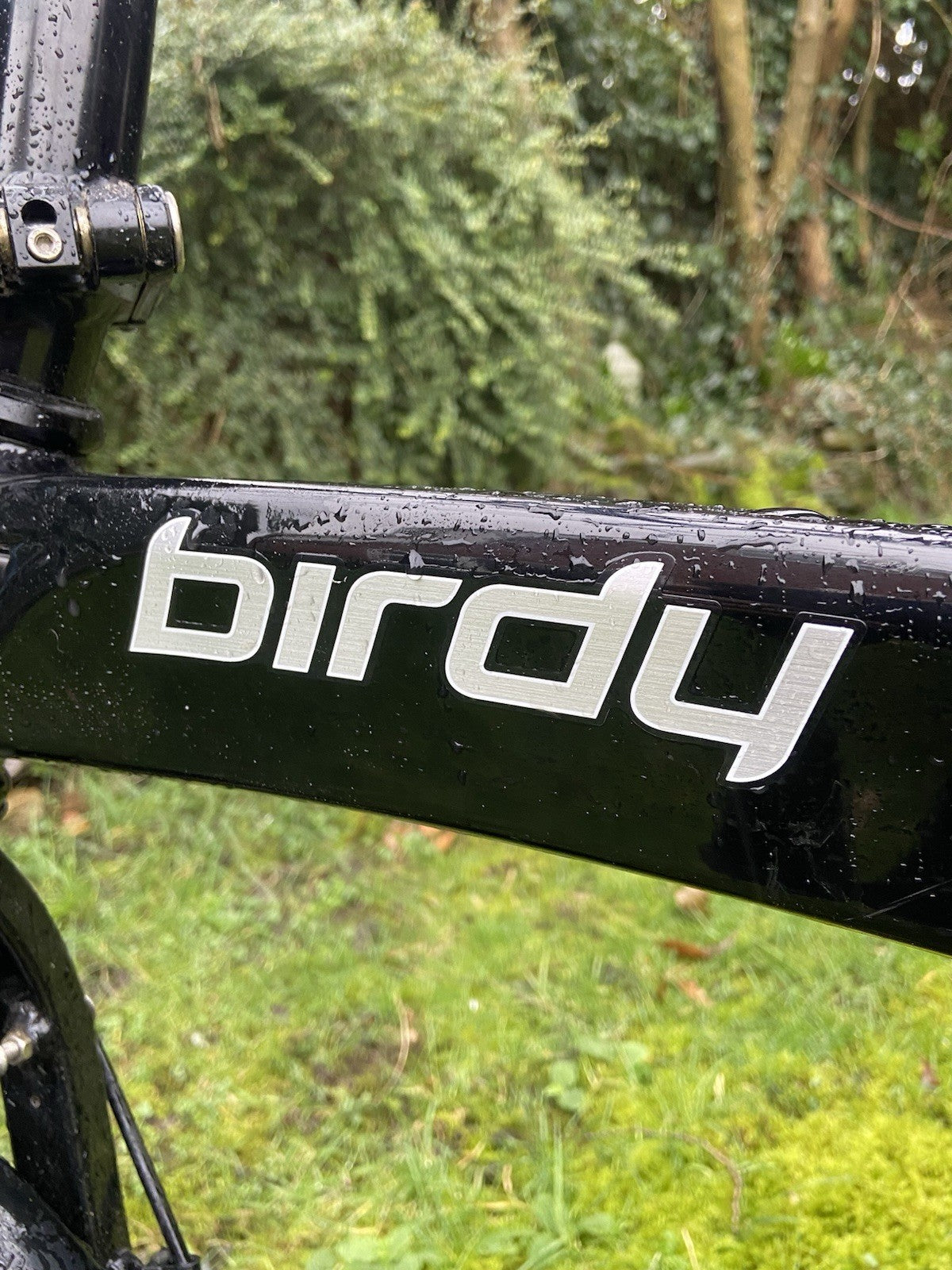 Riese and Müller Birdy Folding Bike