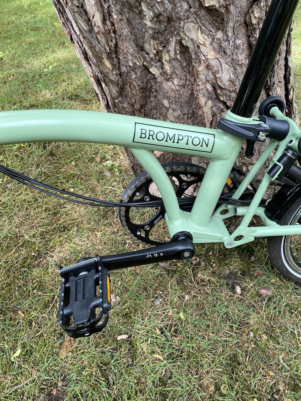 Brompton C-line 6-speed in Matcha Green (discontinued)