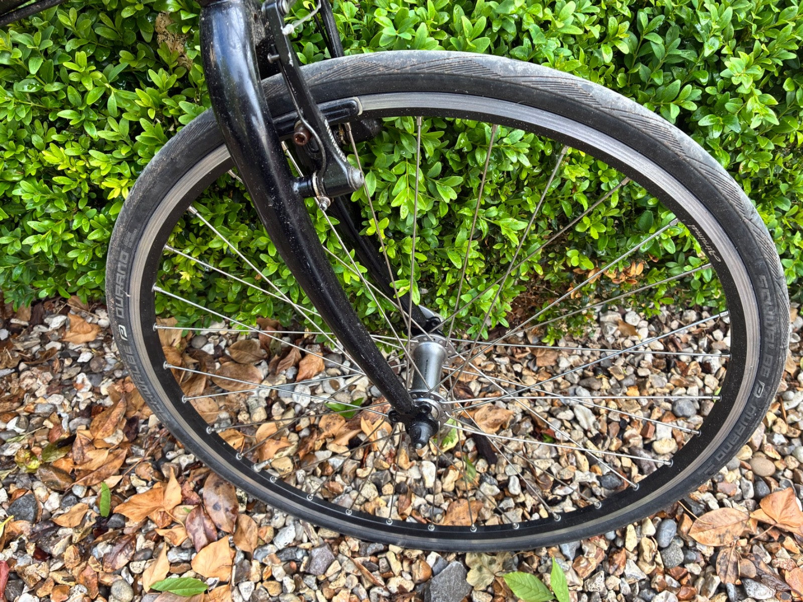 Airnimal Joey Folding and very fast commuting bike Bike