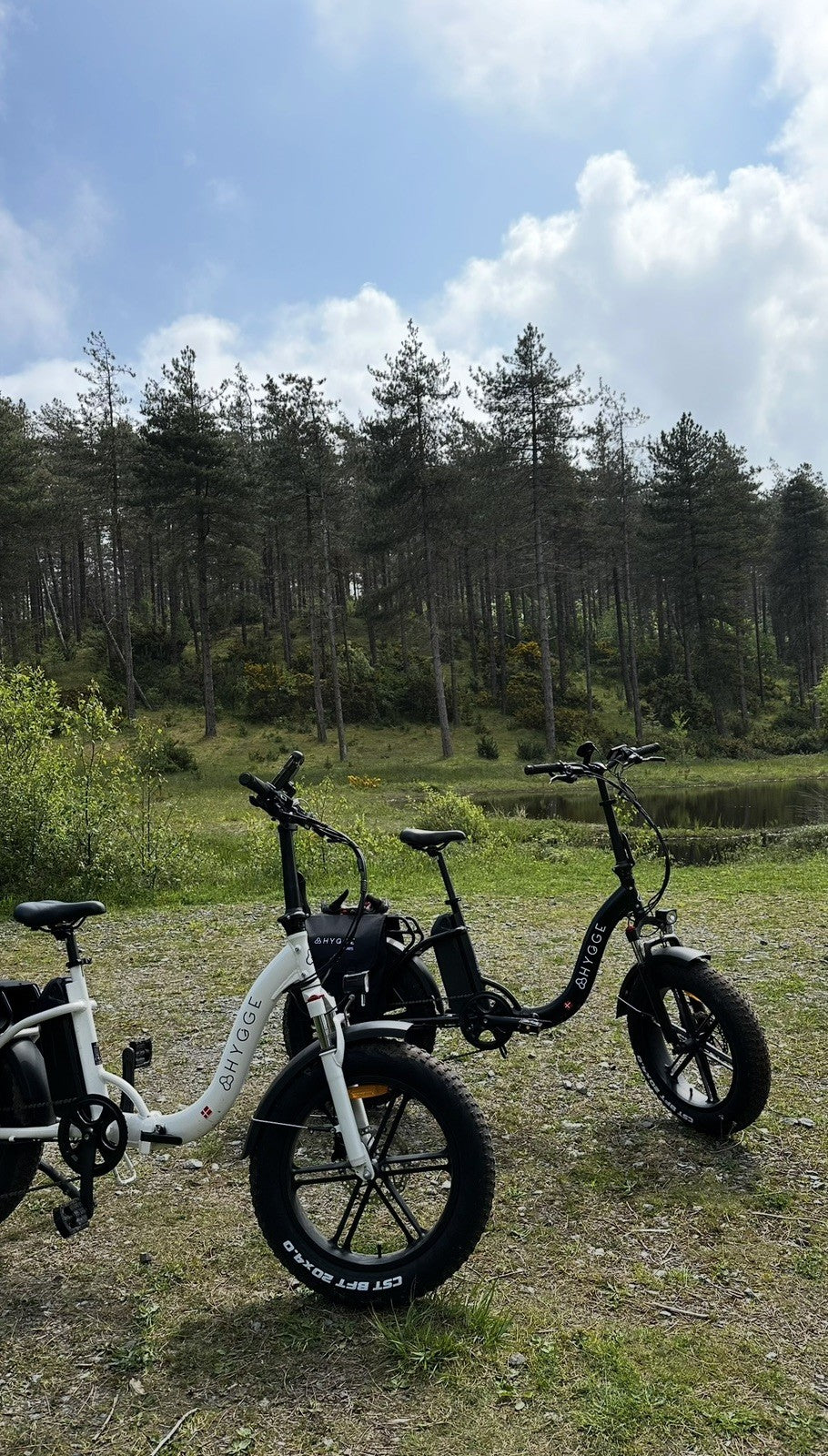 Pair of Hygge Vester Folding Electric Bikes 2025 Model. Delivery Possible.
