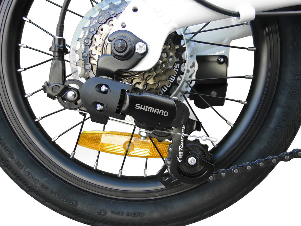 Ecosmo 16" Wheel Lightweight Alloy Folding Bicycle Bike 6 SP,Dual Disc-16AF02WR