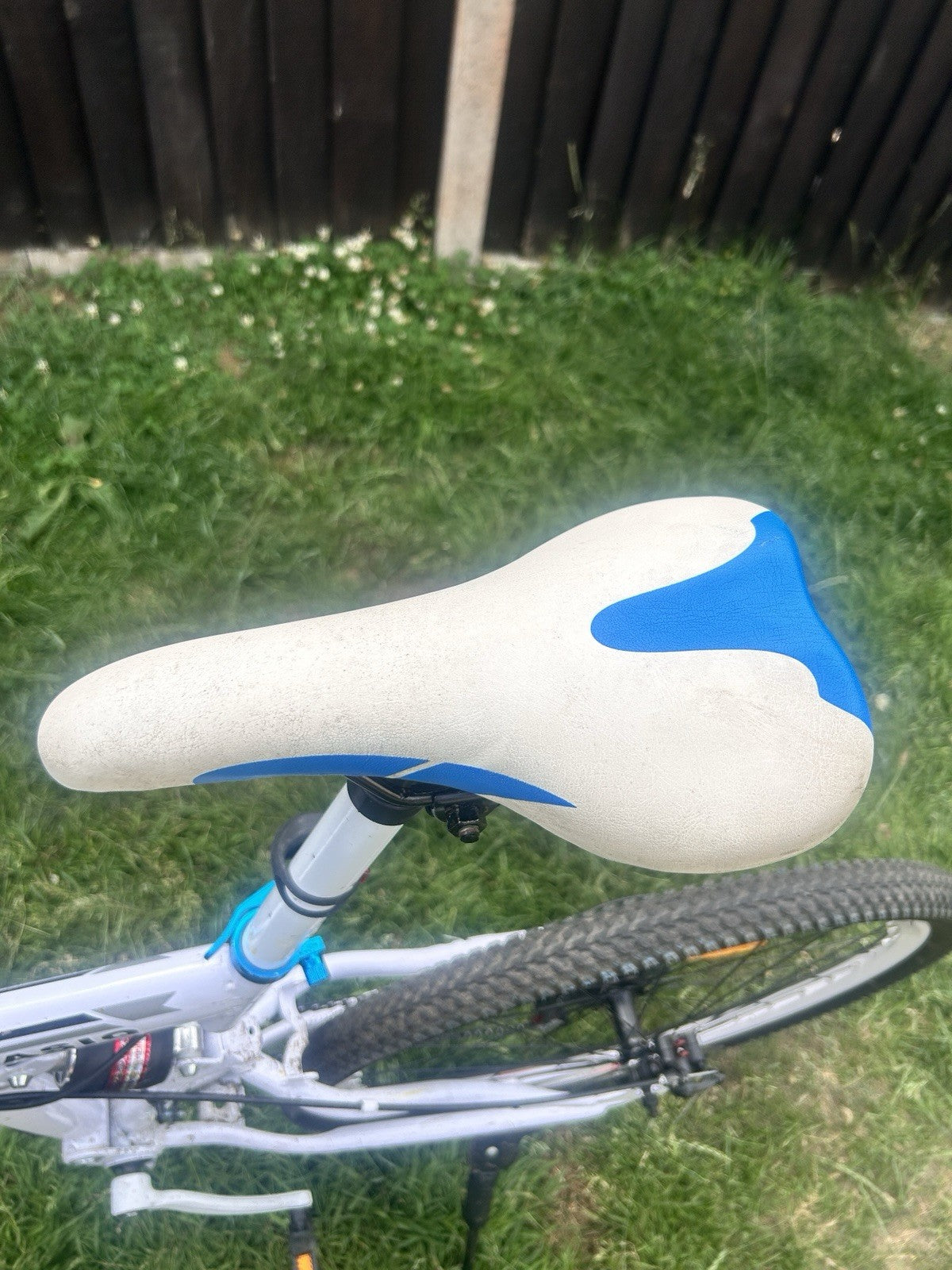 Adult Foldable Bike
