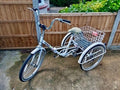 Adult Scout Folding Tricycle