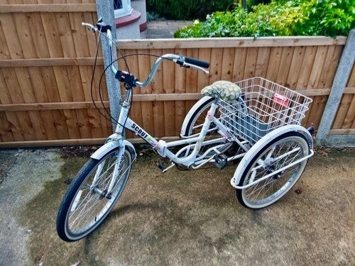 Adult Scout Folding Tricycle