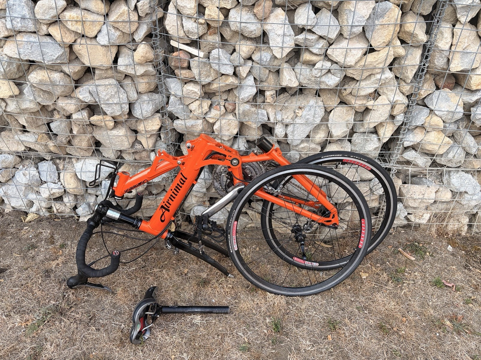 Airnimal Chameleon Folding Road Bike