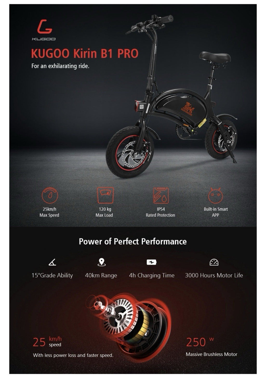 Kugoo Kirin V1 bike, also known as the B2 model. Dolphin-shaped frame.