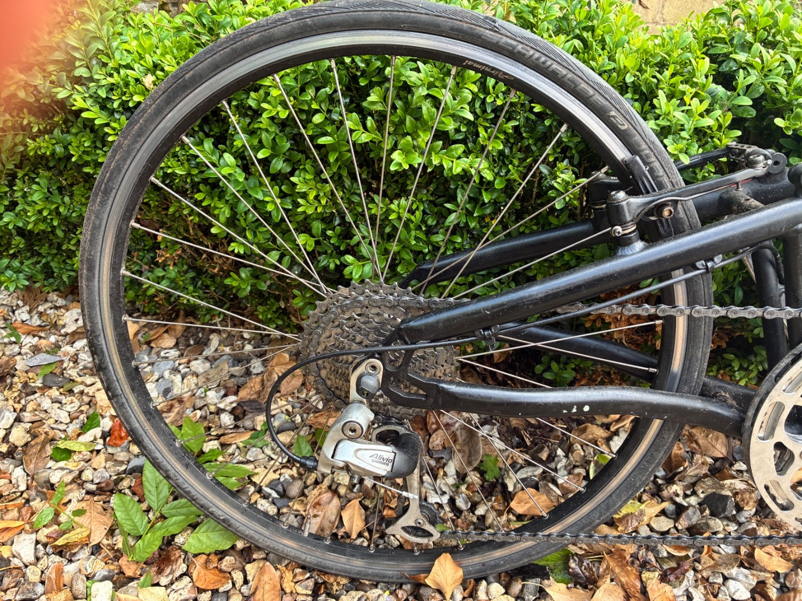 Airnimal Joey Folding and very fast commuting bike Bike
