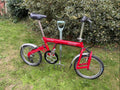 Birdy 14-Speed Rohloff Hub Gear Folding Bike with Suspension High-Spec