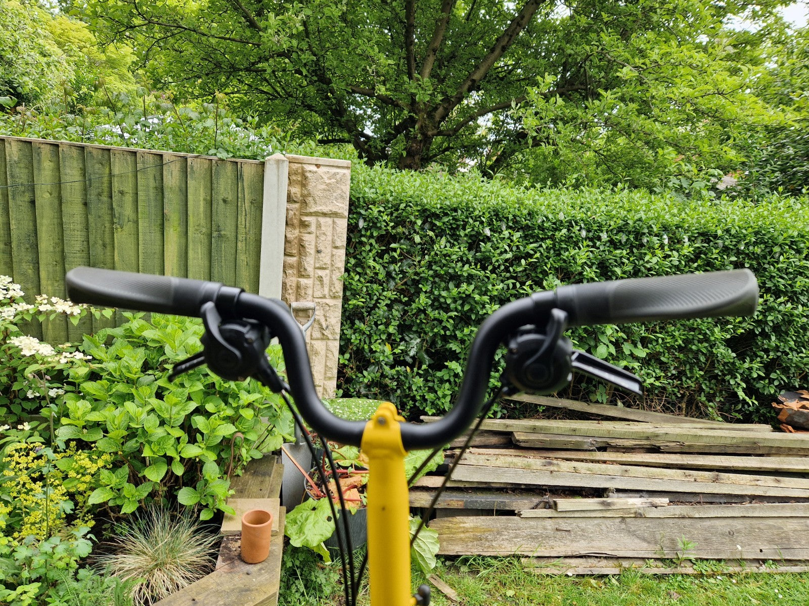 Brompton C Line 6 speed/Rack  Explore, Bumblebee Yellow/Black Mudguards LED