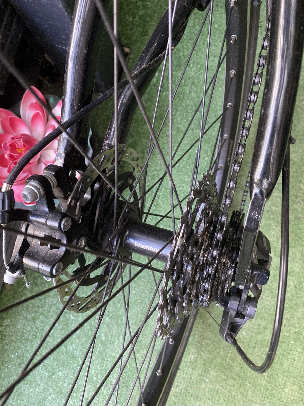 Airnimal Joey Folding Bike￼ Brand-New Wheels And Forks Down Less Than 20 Miles ￼