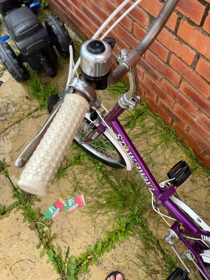 2 x Bikes for Cheap Sale (Universal Stowaway 20' Folding) (Apollo Chaos BMX 20')