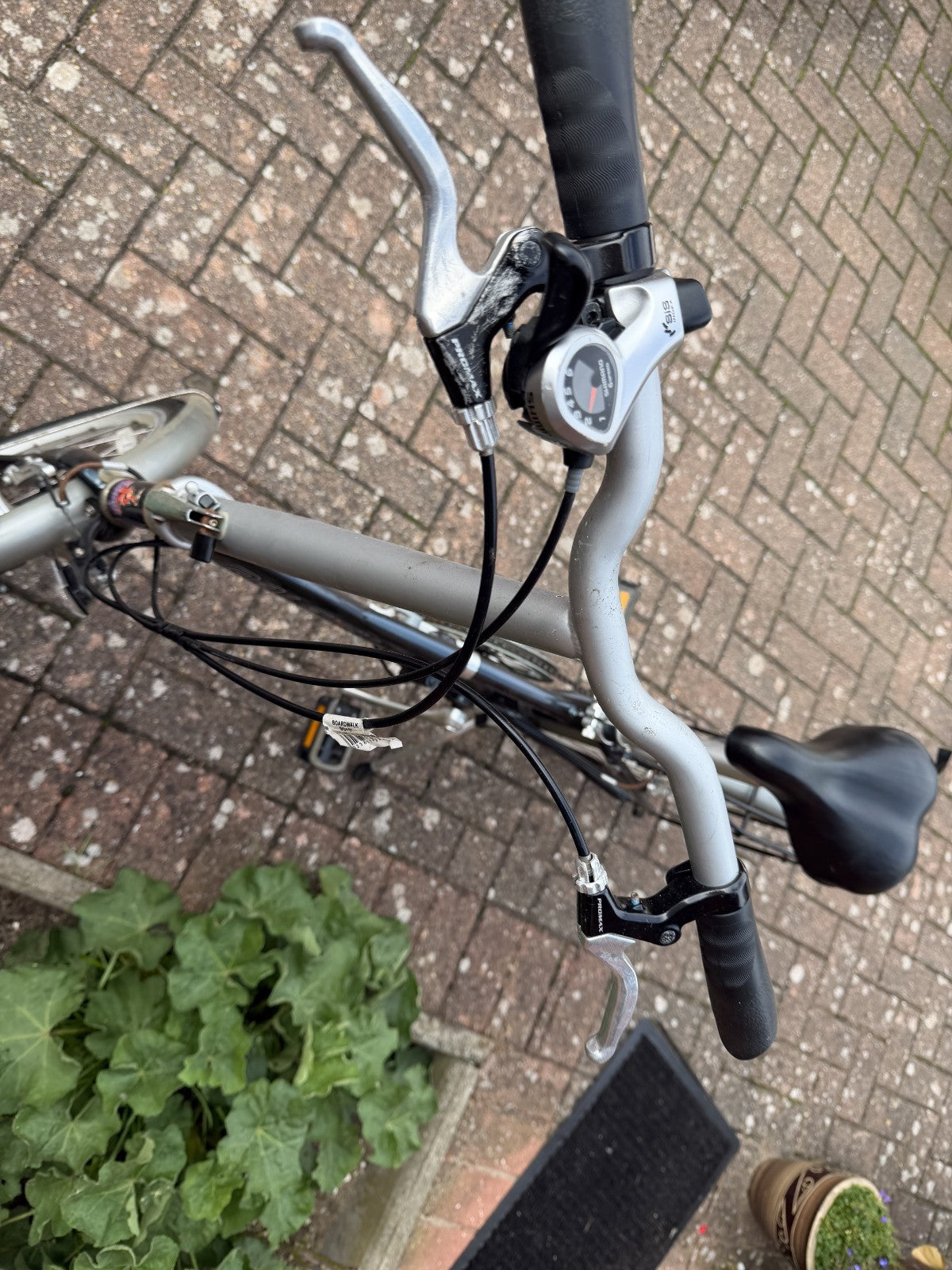 Raleigh Boardwalk Folding Bike 20" wheel