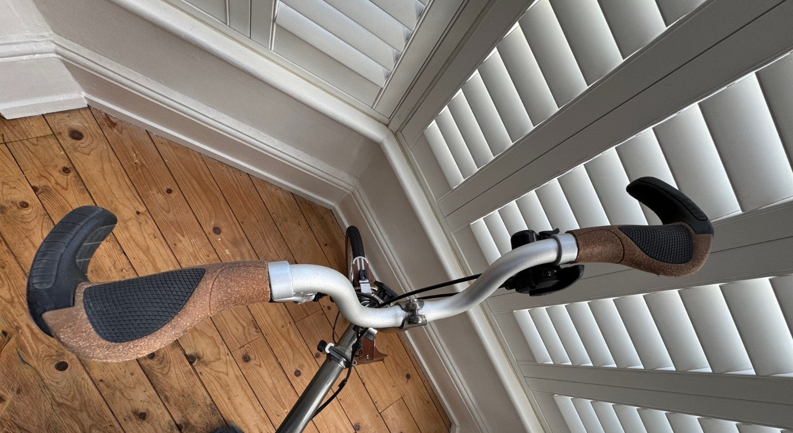 Brompton C Line M3L Raw lacquer