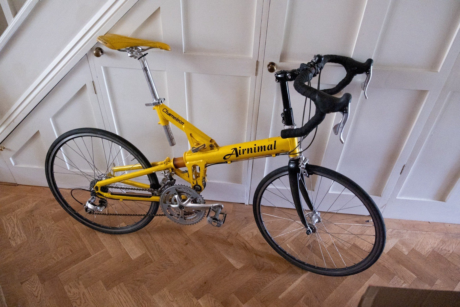 Airnimal Chameleon Folding Bike