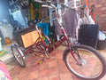 Pashley Tri-1 Tricycle Trike Folding 3-Wheel Bike Free Delivery Norwich