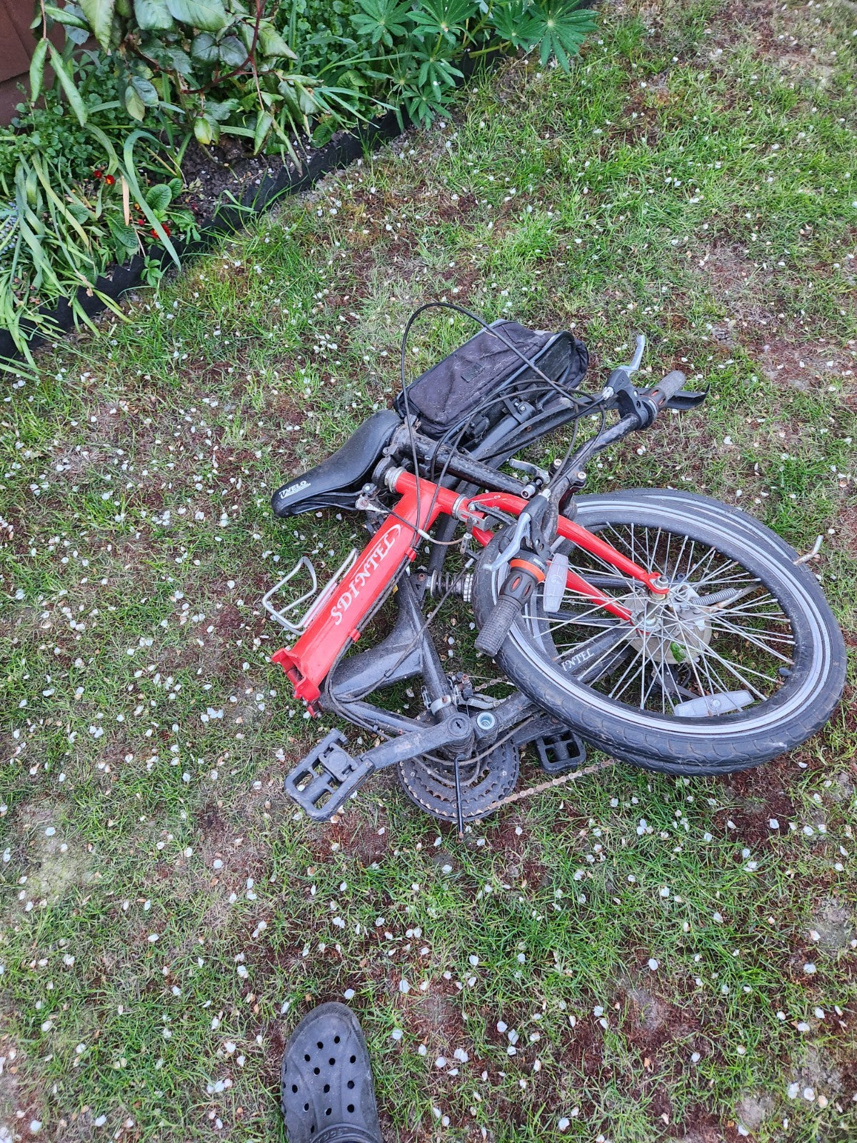 Folding Bike