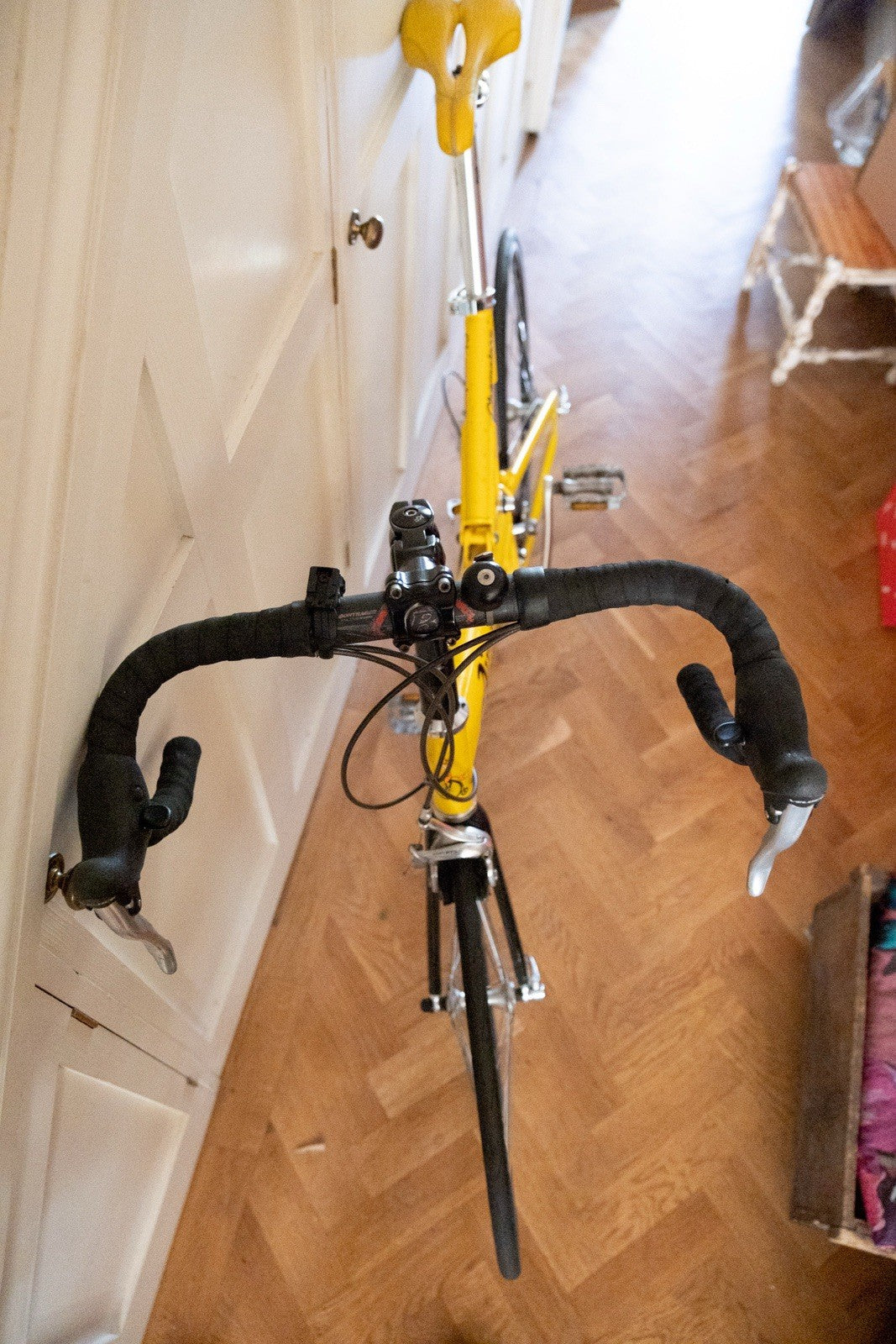 Airnimal Chameleon Folding Bike
