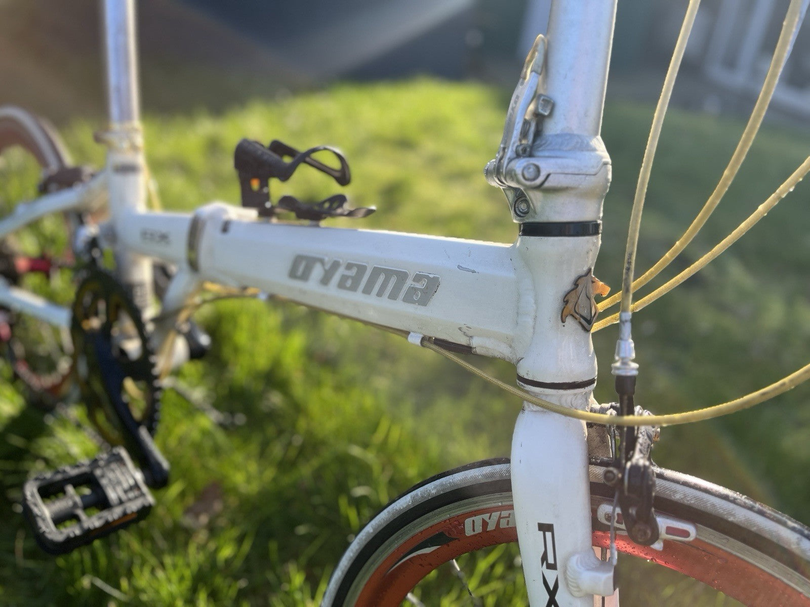Dahon Folding Bike Ready to Ride