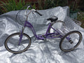 Scout Adult 24" Folding Tricycle
