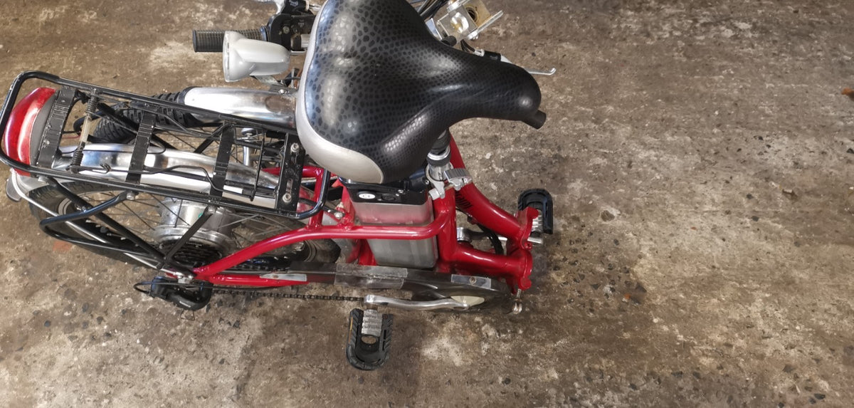 PRO-RIDER 20in E-Folding Bike 250W 36V 25km/h red