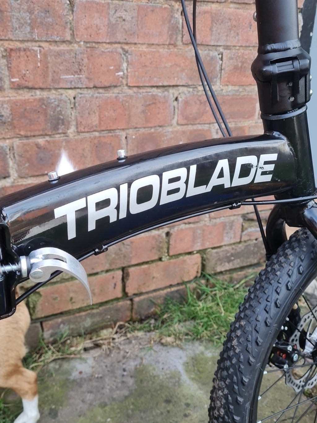 Trioblade 20” Folding Bike – Aluminum Frame, 7-Speed Shimano – New
