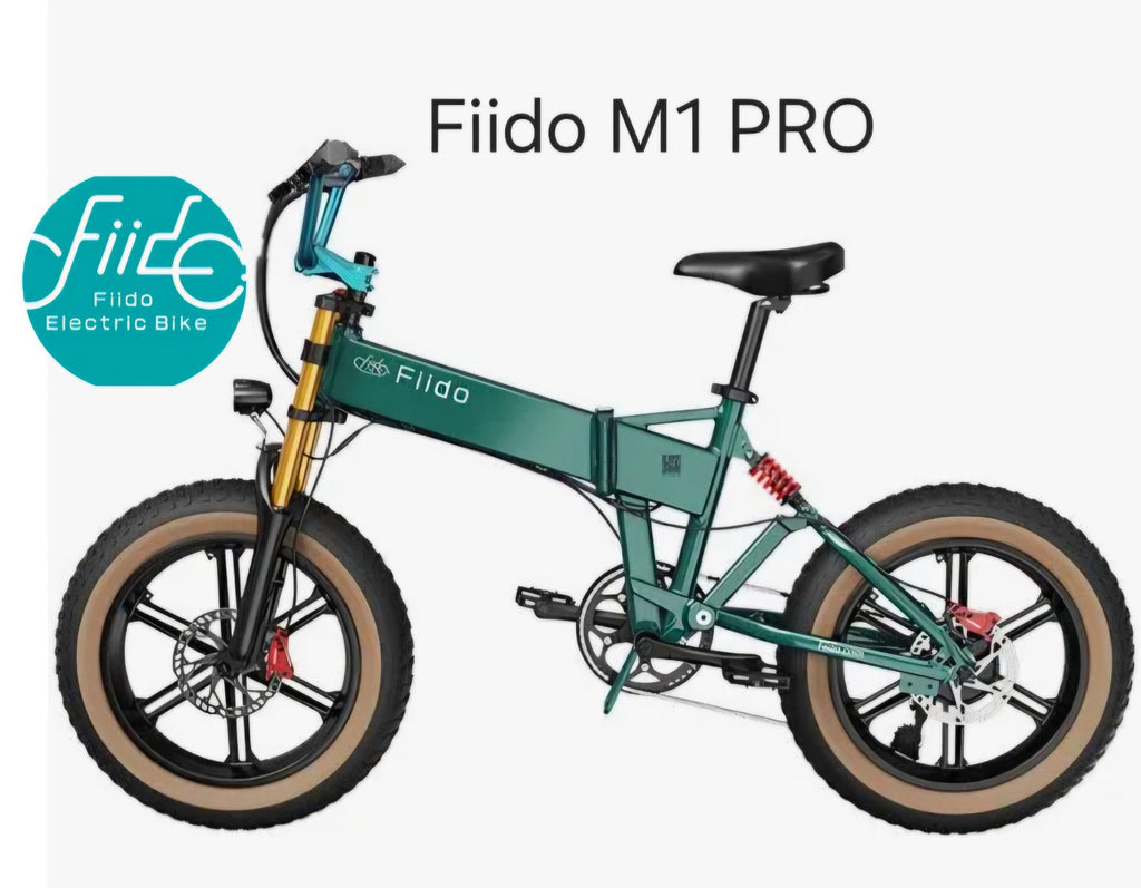 WE DO NOT DROPSHIP - Fiido M1 PRO - NEW, built & tested.