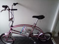 Folding bike adult/girls Big fish Pink wheel diameter 16" x 41" ht