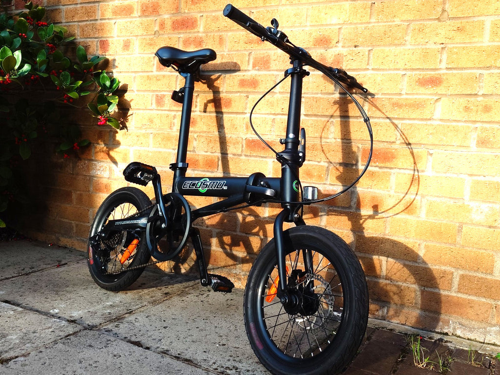 Ecosmo 16" Wheel Lightweight Alloy Folding Bicycle Bike 6 SP,Dual Disc-16AF02BLR