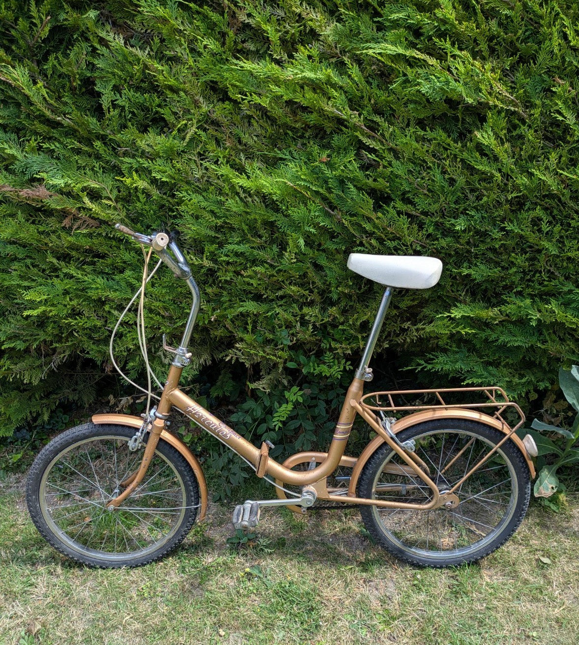 Folding bicycle for adult. Used.