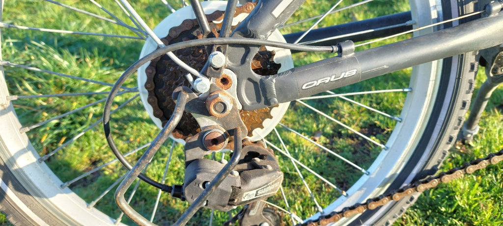 Folding bicycle Orus 20 inch.