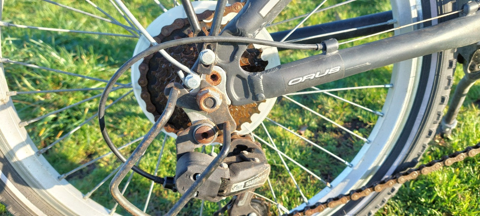 Folding bicycle Orus 20 inch.
