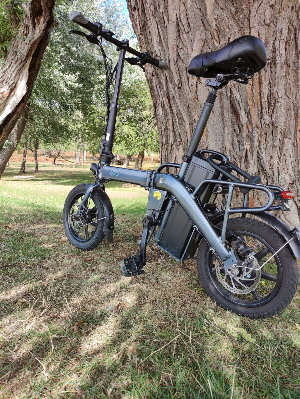Folding Bike Long Range