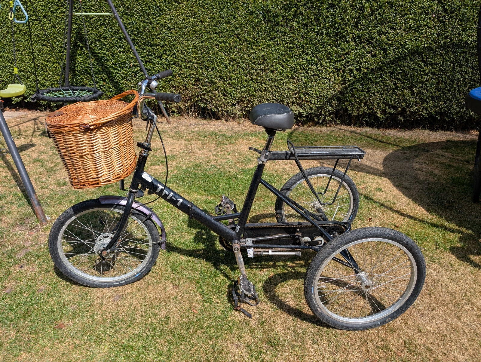 Paisley Adult Folding Fixed Wheel Trike Bike