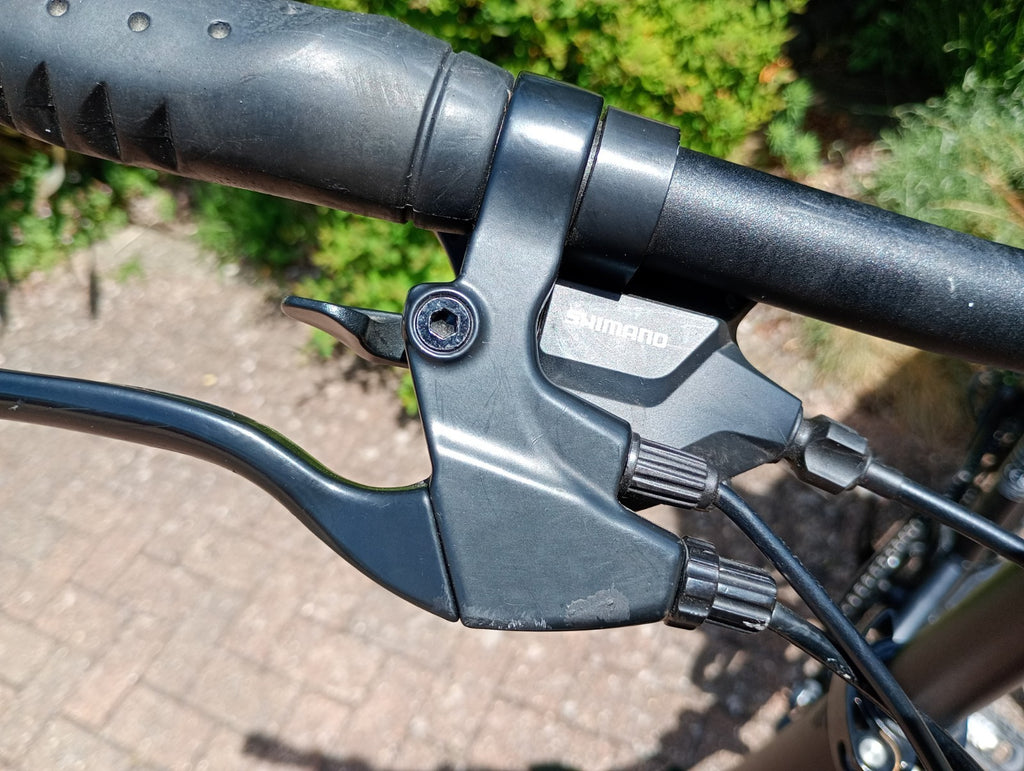 Ampere Alter Low Step Folding Bike  With Accessories