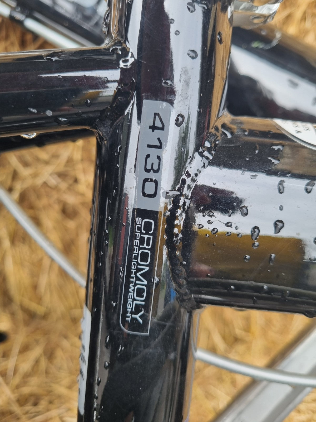 Cromoly Dahon Speed 20in Folding Bike 7 Speed  bBack/Silver 4130