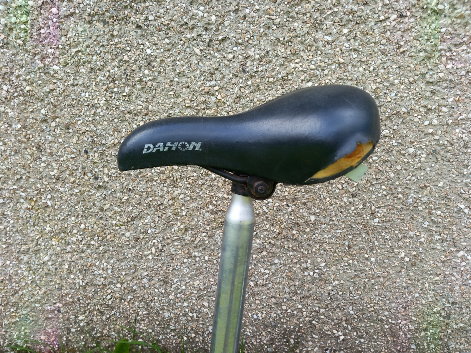 Dahon folding bike