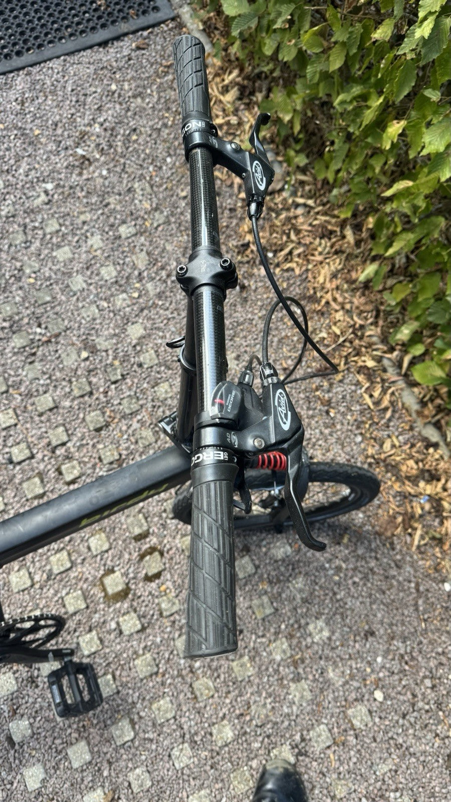 Riese and Müller Birdy Folding Bike - Birdy