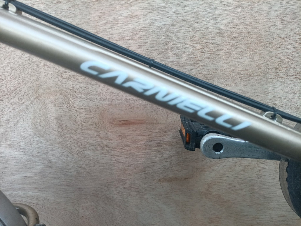 Computer Bike Carnielli Bigfish folding bike