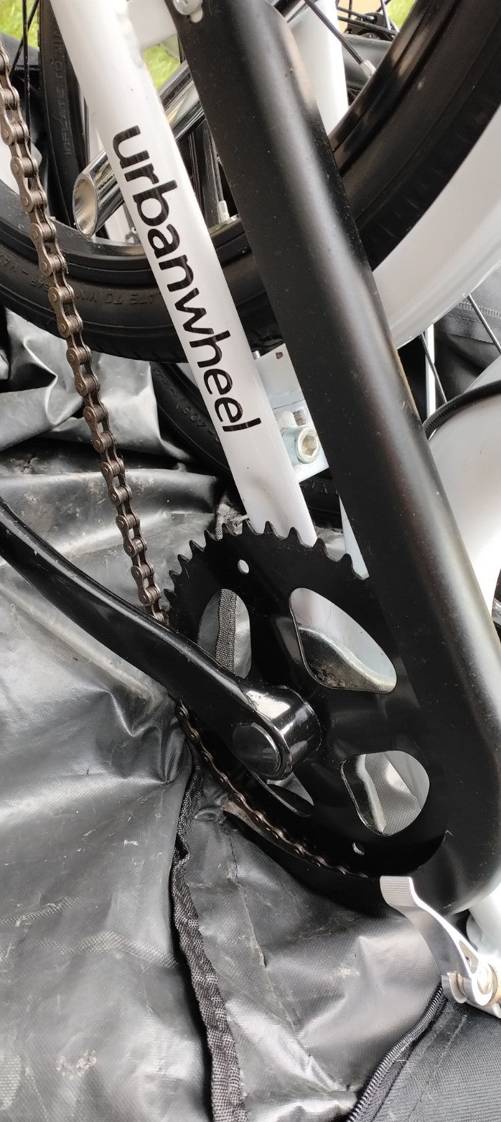 Folding Bike Aurelia, single speed