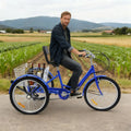 24'' Tricycle Adult Senior 7 Speed 3 Wheels Bike Foldable Trike Bicycle + Basket