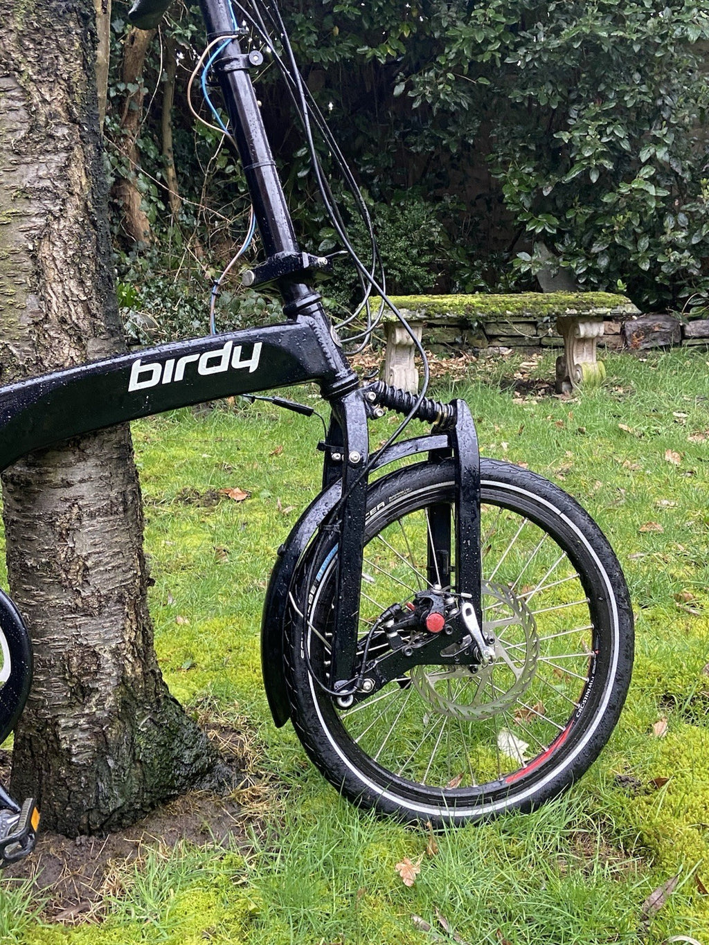 Riese and Müller Birdy Folding Bike