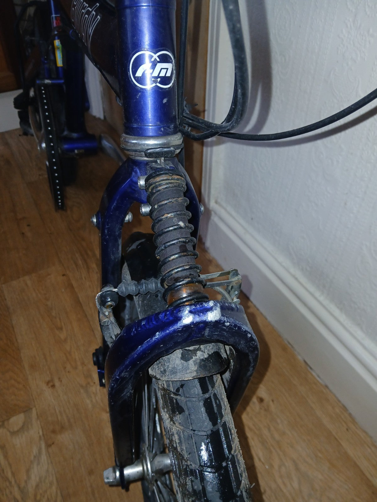 Reise & Muller Birdy Blue Folding Bike