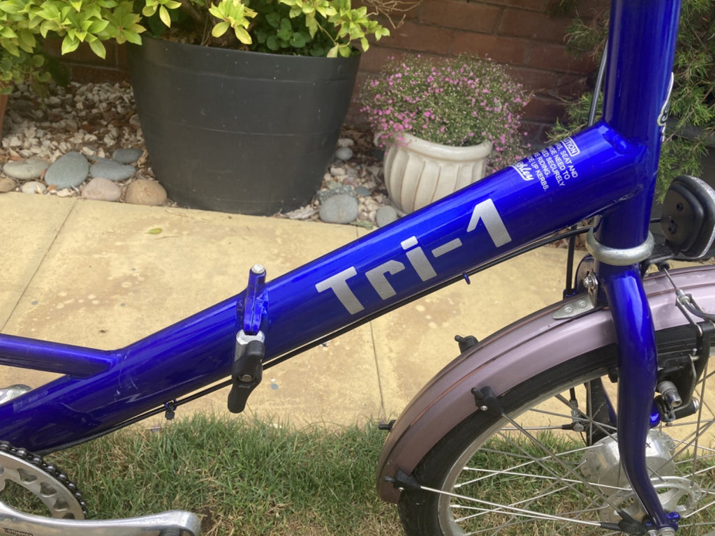 PASHLEY - Tri-1 Folding Adult Trike Blue